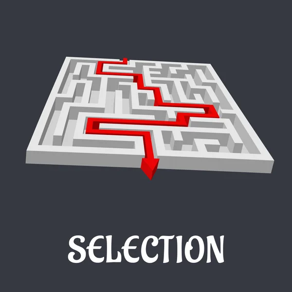 Labyrint met het woord selectie hieronder — Stockvector