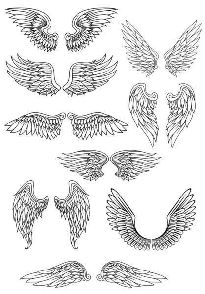Heraldic bird or angel wings set
