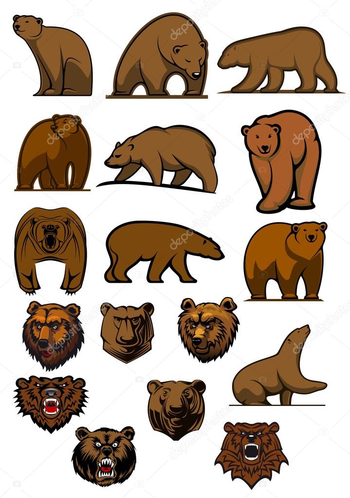 Grizzly and brown bear characters