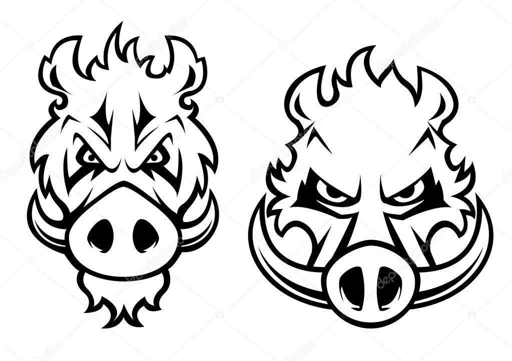 Wild boar heads with aggressive grin and big fangs isolated on white background for logo, emblems or tattoo design
