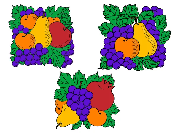Composiciones de frutas frescas — Vector de stock