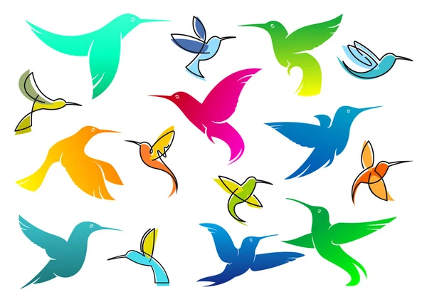 Koliber kolorowe ptaki — Wektor stockowy