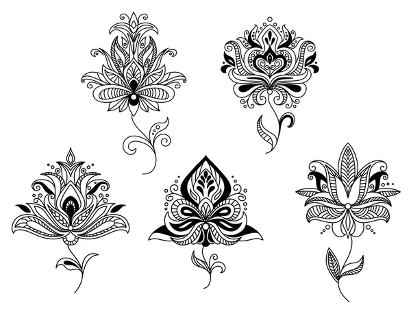 Elegante Perzisch paisley floral elementen — Stockvector