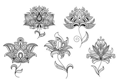 İran ve Hindistan desenli çiçekler