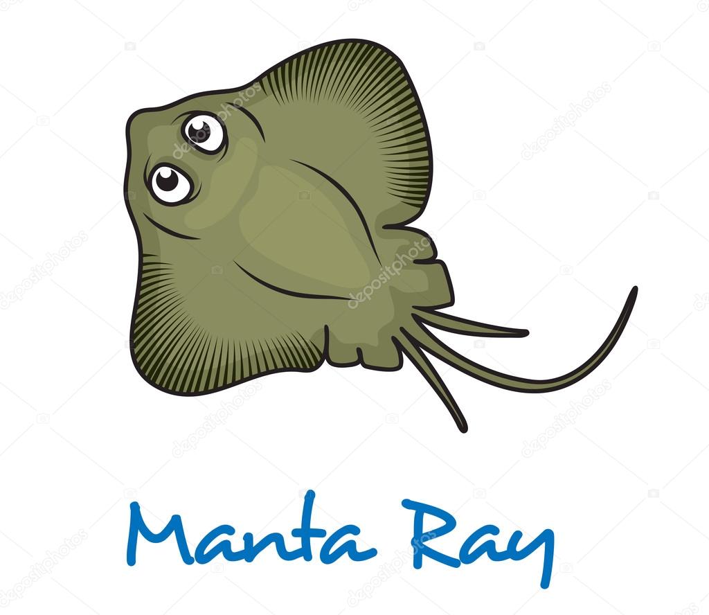Cartoon manta ray