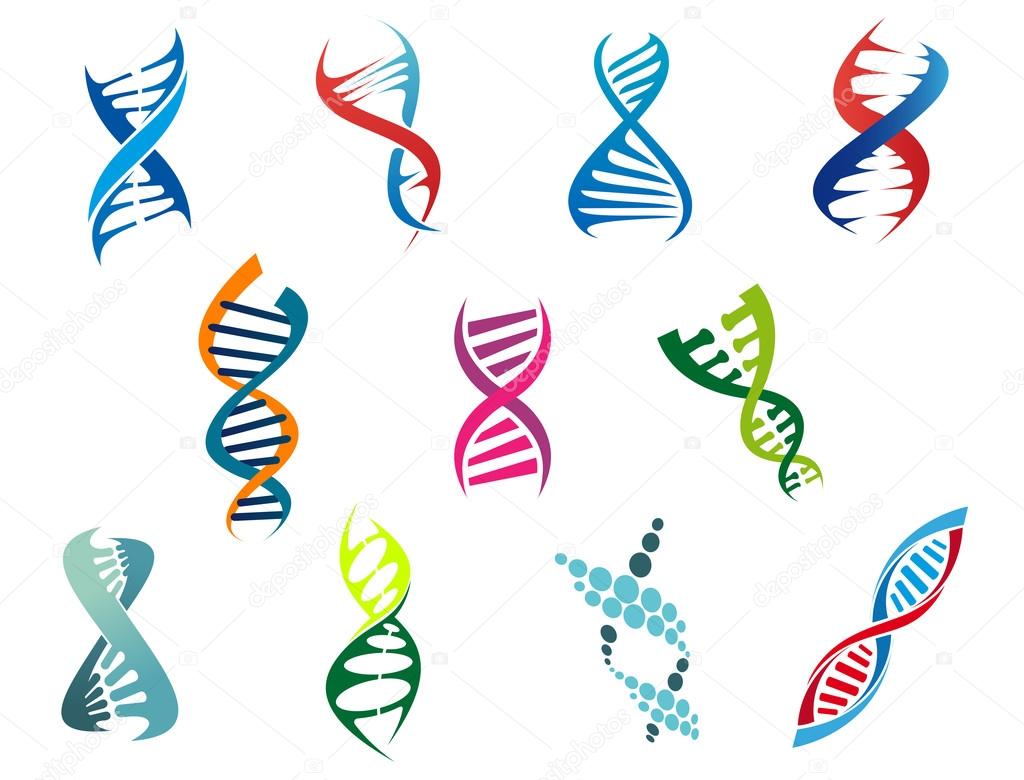 DNA molecules and symbols