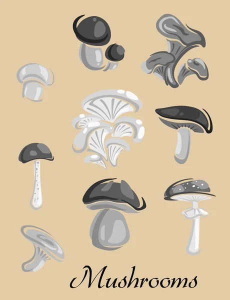 Forêt comestible et toxique Plaque champignons — Image vectorielle