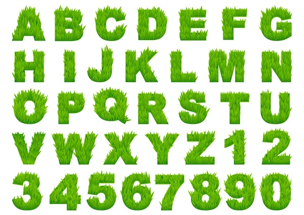 Green grass alphabet with letters and numbers — Stock Vector