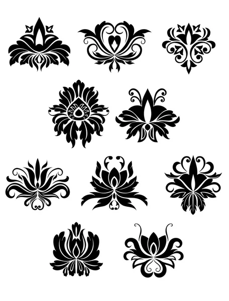 Floral design elements and flowers — Stock Vector