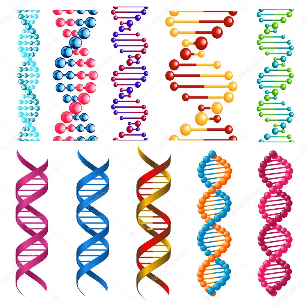 Colorful DNA molecules and cells