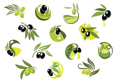 Zeytin ağacı dalları parlak zeytin ile