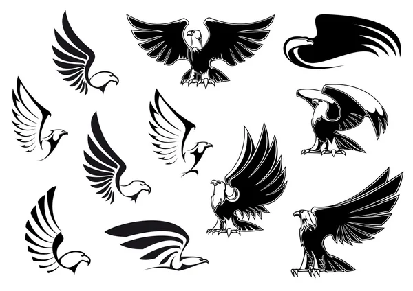 Eagles for logo, tattoo or heraldic design — Stock Vector