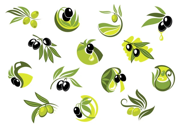 Ramas de olivos con aceitunas brillantes — Vector de stock