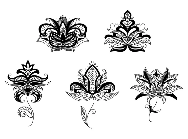 Eléments floraux et motifs Paisley — Image vectorielle