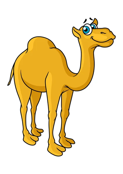 Divertido personaje de animales de dibujos animados camello — Vector de stock
