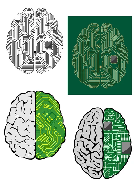 Human brain with computer motherboard — Stock Vector