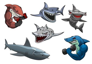 Angry grey, white and hammerhead sharks cartoon characters clipart