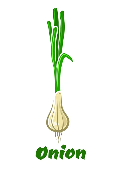 Cebolla verde de dibujos animados o cebolleta vegetal — Vector de stock