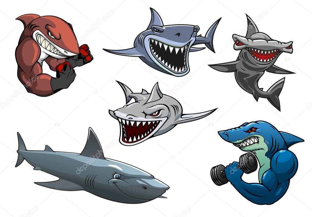 wallpapers Cartoon Hammerhead Shark Pictures angry grey white and hammerhead sharks cartoon characters vector image by c seamartini vector stock 70124221