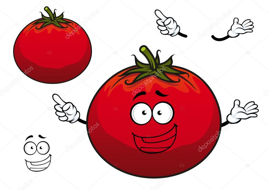 Happy cartoon plump red tomato vegetable character