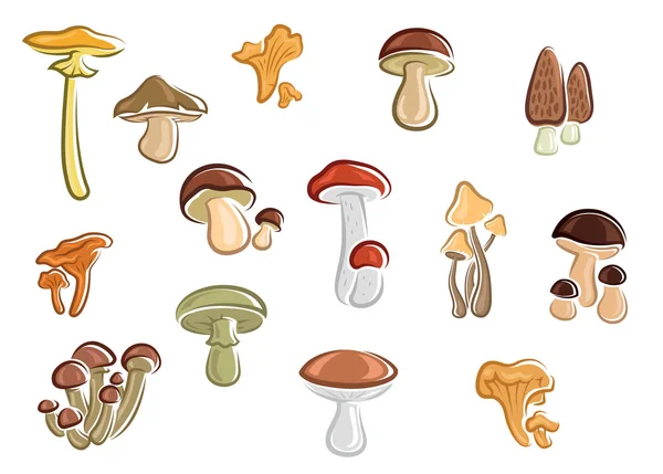 Collection de champignons et champignons de dessin animé — Image vectorielle