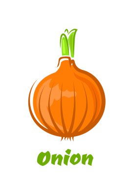 Kahverengi kuru soğan yeşil filizi ile