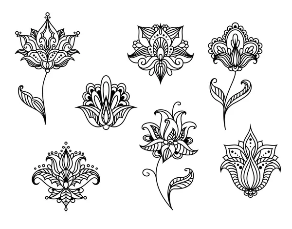 Farsça desenli çiçek ve çiçekleri — Stok Vektör