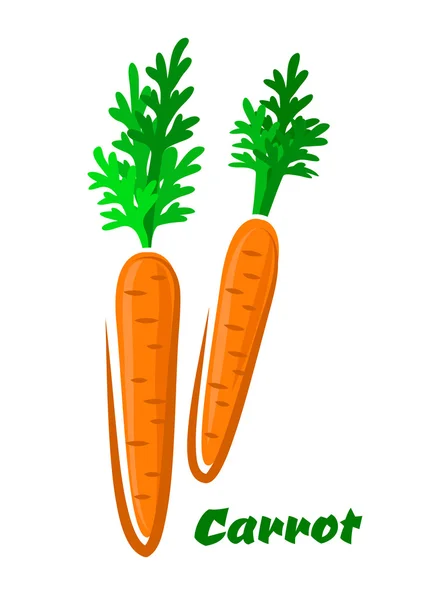 Fresh orange cartoon carrots vegetables — Stock Vector