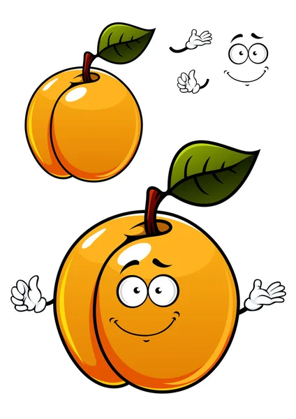 Fun cartoon apricot fruit character — Stock Vector