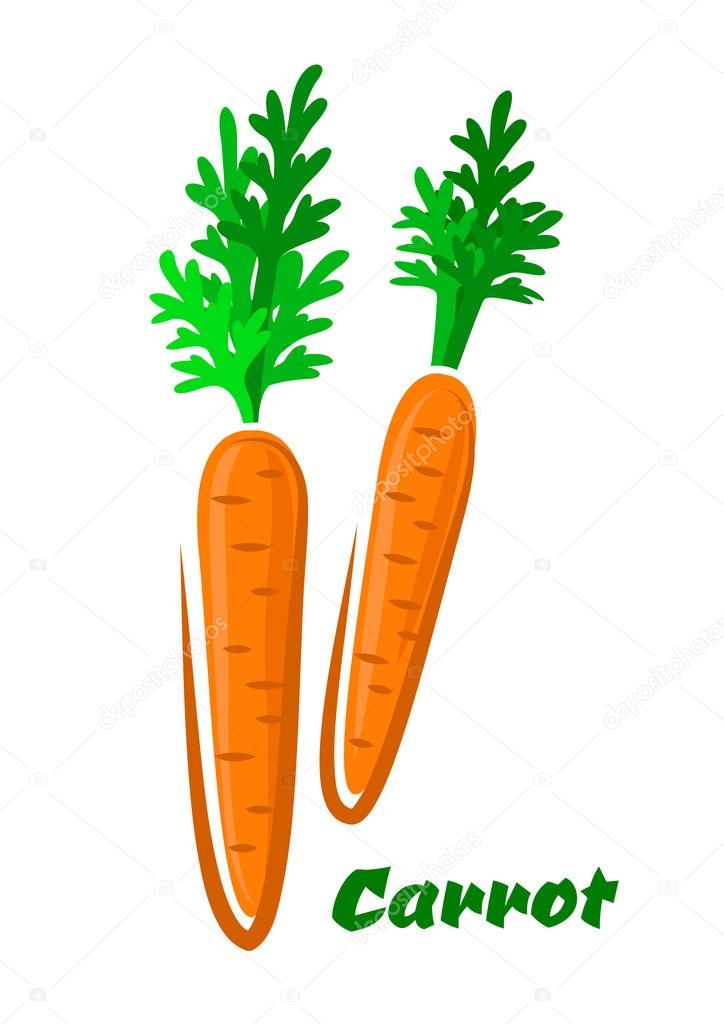 Fresh orange cartoon carrots vegetables