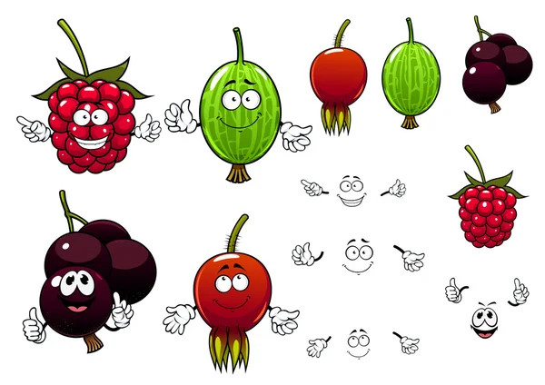 Raspberry, kismis, gooseberry dan briar berry - Stok Vektor
