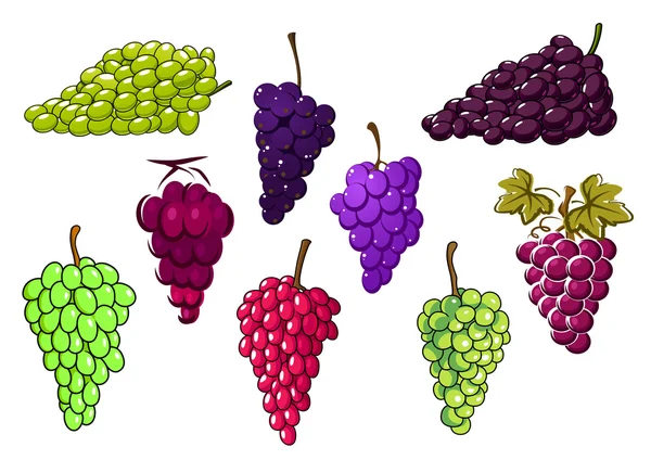 Klasar av gröna och röda druvor — Stock vektor