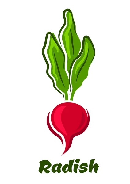 Rábano vegetal con exuberante acarreo — Vector de stock