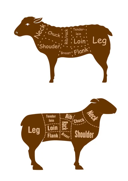 Bárány- vagy birkahús hentes darabok részletes diagram — Stock Vector