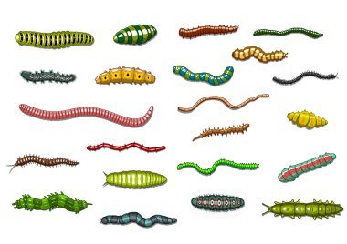 Crawling caterpillars and worms in cartoon style