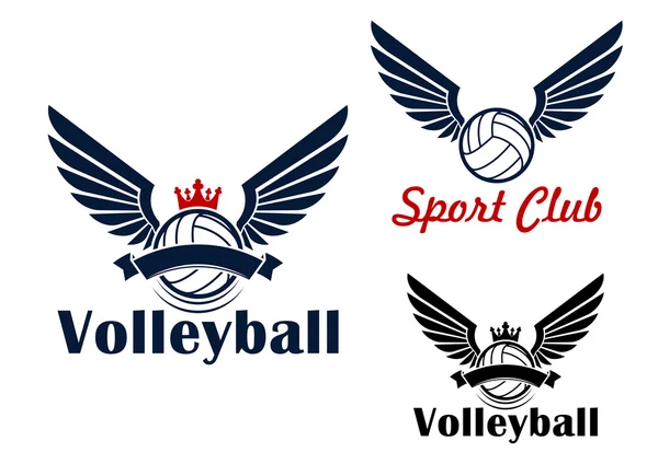 Volleyball-Spielsymbol mit geflügelten Bällen — Stockvektor