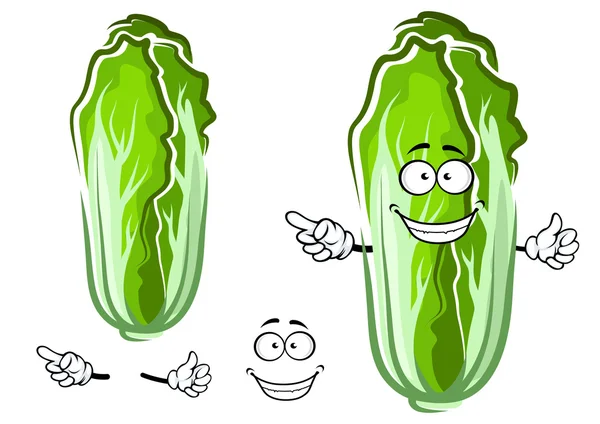 Cartoon green chinese cabbage vegetable — Stock Illustration Cartoon green chinese cabbage vegetable Vector Graphics