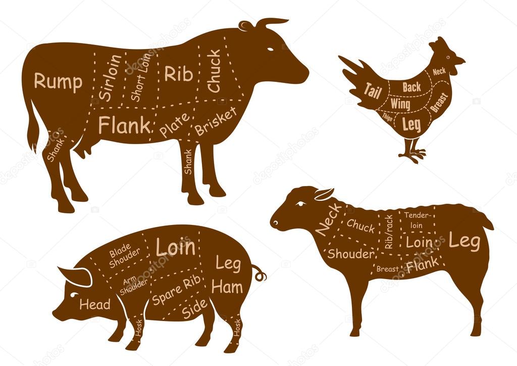 Beef, pork, chicken and lamb meat cuts