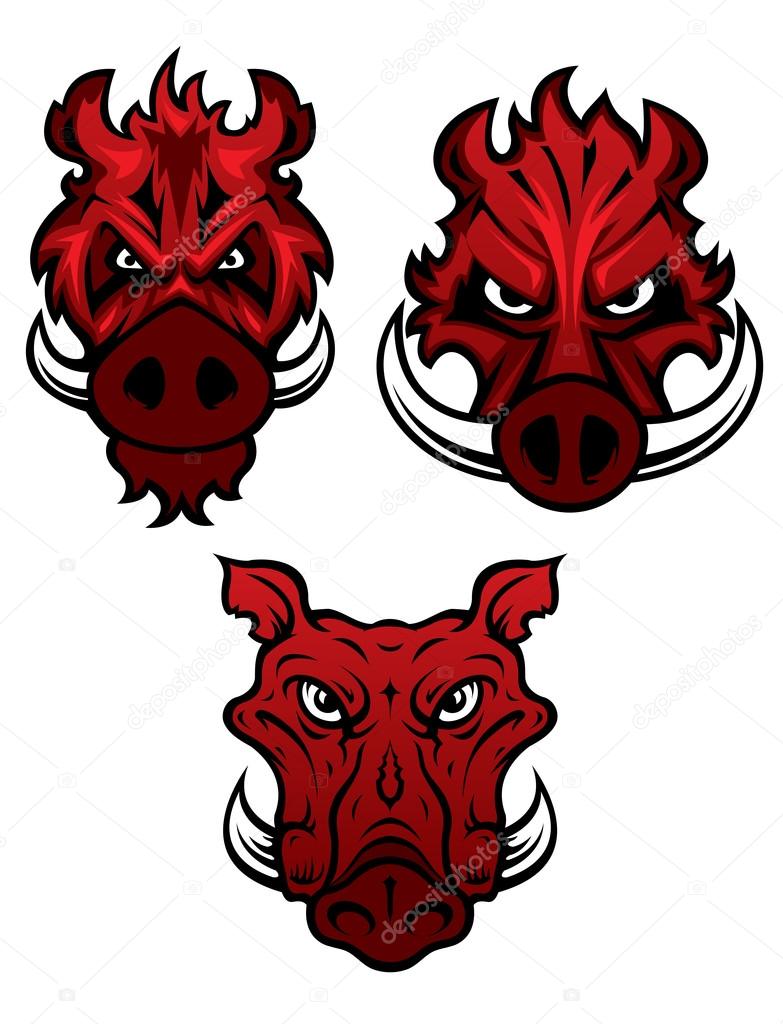 Red wild boars heads with dangerous sharp tusks isolated on white background, for tattoo or mascot design
