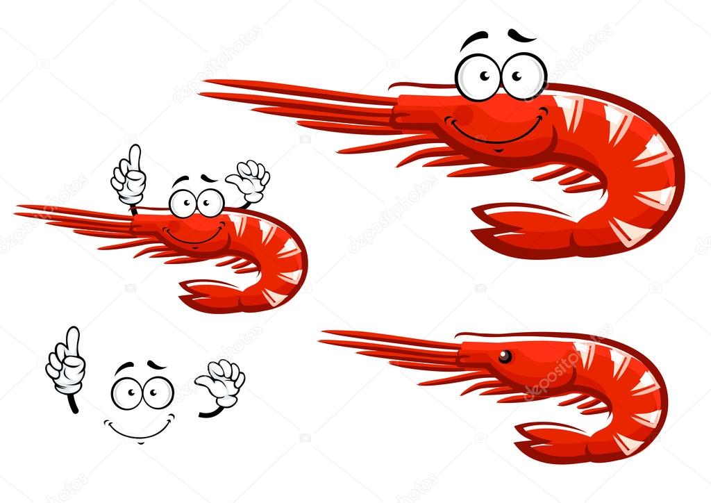 Isolated red shrimp cartoon character