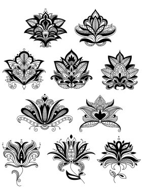 Indian or persian paisley flowers