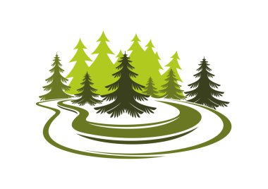 Forest glade with spruces on green grassy meadow