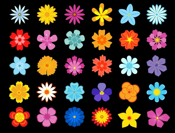 Vue du dessus des fleurs en fleurs colorées — Image vectorielle