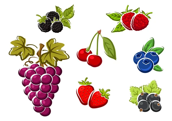 Sweet ripe isolated berries and fruits — Stock Vector