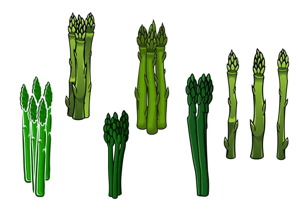Green asparagus veggies with fleshy spears — Stok Vektör