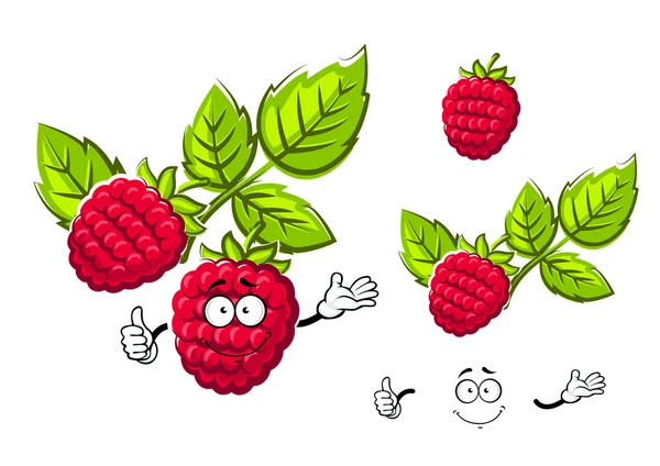 Ripe isolated red rasberry fruit — Stockvector