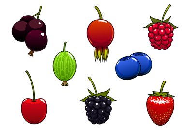 Sweet ripe juicy isolated berries