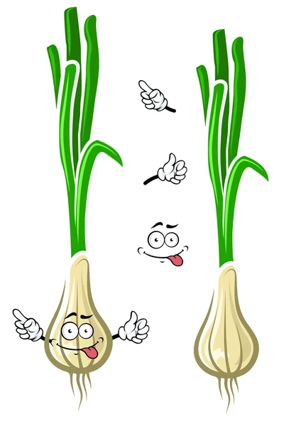 wallpapers Cebolla Paiteña Dibujo Animado icono de bulbo de cebolla blanca