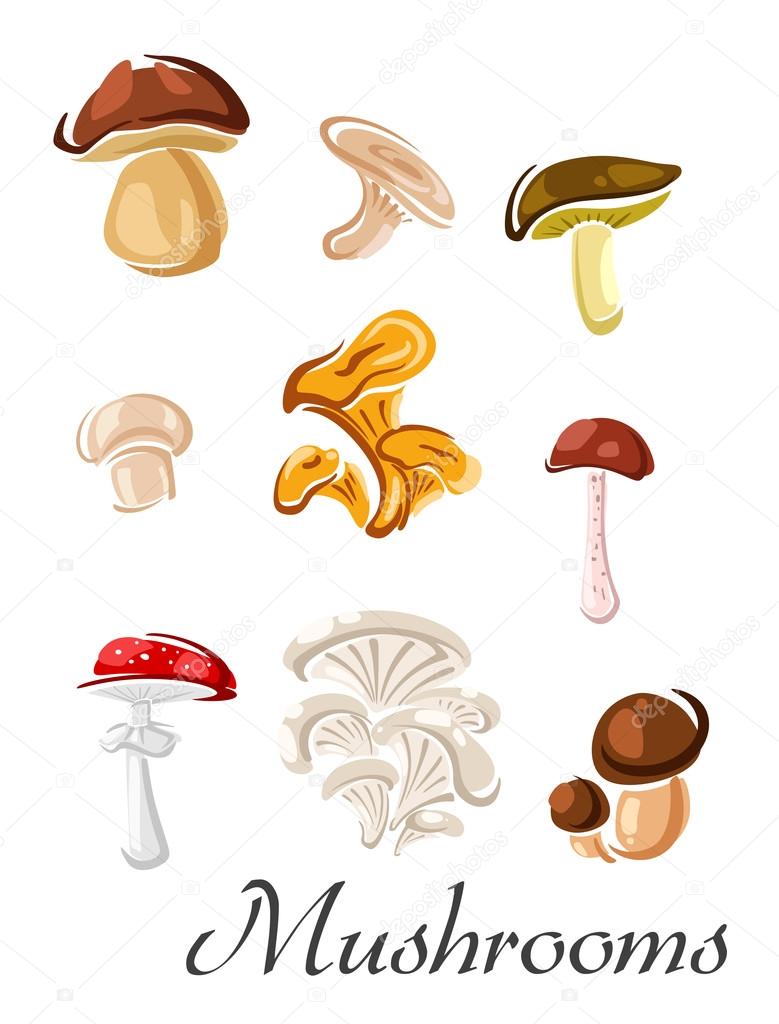 Forest mushrooms set in cartoon style