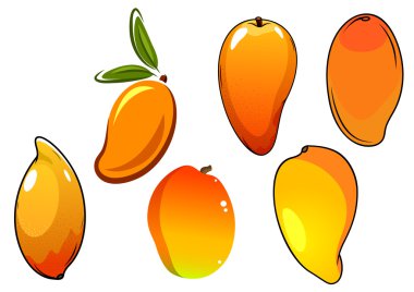 Orange fresh tropical mango fruits